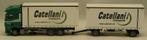 AWM DAF XF SSC Catellani gordijn aanhanger nr 55234  1/87, Ophalen of Verzenden, Nieuw, Bus of Vrachtwagen, AWM