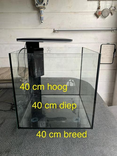 Te koop aquarium Superfish Qubiq, Dieren en Toebehoren, Vissen | Aquaria en Toebehoren, Leeg aquarium, Ophalen