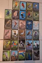 Kies je kaart(en) Life TCG full art, Ophalen of Verzenden, Nieuw