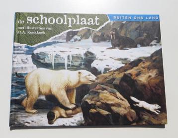 De schoolplaat  H3419: B.A. Kwast - Buiten ons land 12+ beschikbaar voor biedingen