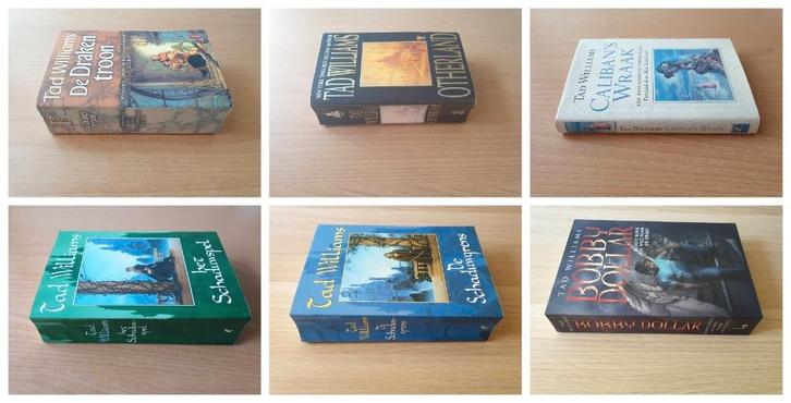 Tad Williams - Ned / Eng, per stuk te koop, Boeken, Fantasy, Gelezen, Ophalen of Verzenden