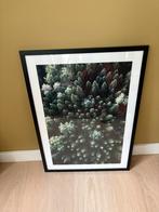 Bos poster in zwarte lijst - 52x72 cm, Ophalen, 50 tot 75 cm, Zo goed als nieuw, Foto of Poster