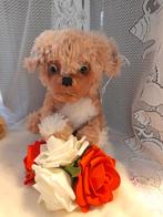 Adv 132 steiff hondje, Ophalen of Verzenden