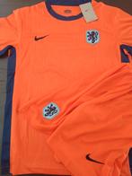 Nederlands Elftal kit 24/26 kinder en volwassen maten, Sport en Fitness, Voetbal, Nieuw, Ophalen of Verzenden