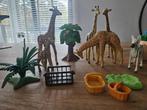 Playmobile safarie zebra s en giraffen, Ophalen of Verzenden