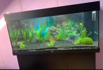 Juwel Aqurium 180, Dieren en Toebehoren, Ophalen of Verzenden, Zo goed als nieuw, Leeg aquarium