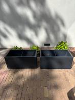 Grote planten/bloemenbakken Elho tkp, Tuin en Terras, Kunststof, Gebruikt, 60 tot 100 cm, Rechthoekig