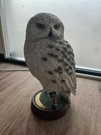 Hedwig Statue - Noble Collection - Harry Potter, Ophalen of Verzenden, Nieuw