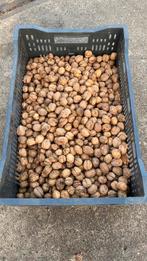 Walnoten, Ophalen of Verzenden