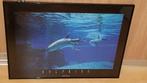 Te koop: poster met dolfijnen en zwarte lijst., Ophalen, 50 tot 75 cm, Zo goed als nieuw, Schilderij