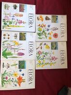 Nederlandse oecologische Flora (5 delen) € 125, Boeken, Natuur, Ophalen of Verzenden, Zo goed als nieuw, Bloemen, Planten en Bomen