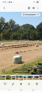 Midibalen hooi te koop, Ophalen of Verzenden, Overige typen