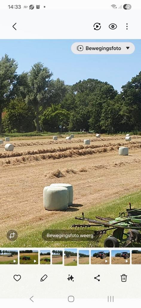 Midibalen hooi te koop, Tuin en Terras, Aarde en Mest, Overige typen, Ophalen of Verzenden