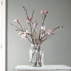 Magnolia takken voor in vaas, Ophalen of Verzenden, Zo goed als nieuw