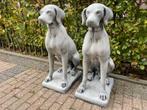 Pointer,Weimaraner, , Ophalen, Nieuw, Beton, Dierenbeeld