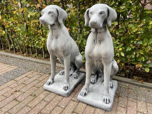 Pointer,Weimaraner, , Tuin en Terras, Tuinbeelden, Nieuw, Dierenbeeld, Beton, Ophalen