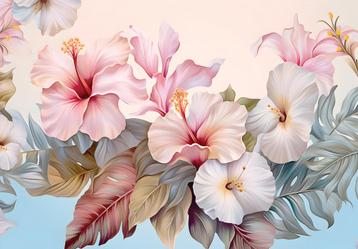 Hibiscus bloemen fotobehang, Chinese roos, Fotobehang4you beschikbaar voor biedingen