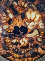 Amoniet Plaat op Gouden Standaard, Verzamelen, Mineralen en Fossielen, Ophalen of Verzenden