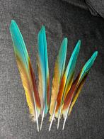 Ara Staartveertjes - Prachtige Kleuren!, Ophalen of Verzenden, Gebruikt, Materiaal