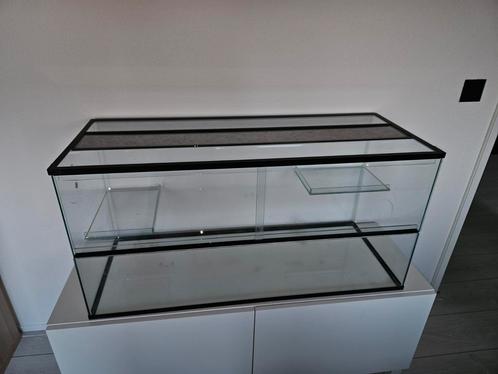 Glazen hamsterkooi/ terrarium, Dieren en Toebehoren, Knaagdieren en Konijnen | Hokken en Kooien, Zo goed als nieuw, Kooi, Minder dan 60 cm