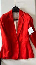 Ivy & oak blazer rood / oranje maat:36 nieuw, Kleding | Dames, Ivy oak, Jasje, Ophalen of Verzenden, Zo goed als nieuw