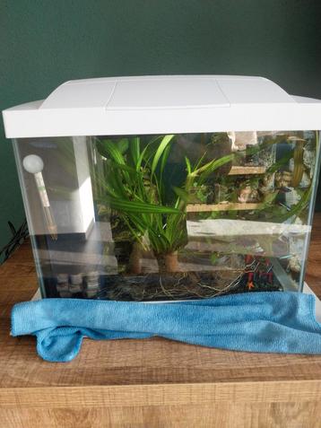 Te koop aquarium superfish met toebehoren en vissen beschikbaar voor biedingen