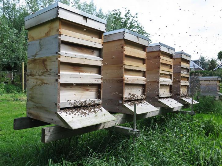 GEZOCHT spaarkasten en imker benodigdheden, Dieren en Toebehoren, Insecten en Spinnen, Bijen