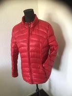 ROOD DONZEN JASJE VAN LIV MAAT 44, Kleding | Dames, Jassen | Winter, Maat 42/44 (L), Ophalen of Verzenden, Zo goed als nieuw, LIV