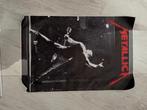 Metallica canvas, Ophalen of Verzenden, Zo goed als nieuw, Rechthoekig Staand