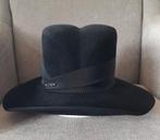 Zwarte dameshoed, Kleding | Dames, Ophalen of Verzenden, Zo goed als nieuw, 56 of 57 cm (M, 7 of 7⅛ inch), Hoed