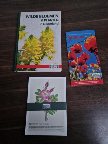 Wilde bloemen & planten in Nederland beschikbaar voor biedingen