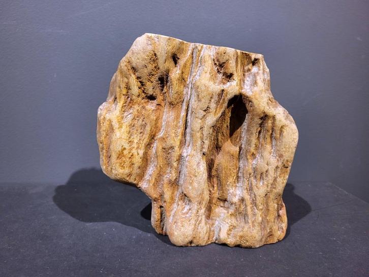 Versteend hout, tussen de 10,- en 20,- euro per stuk, Verzamelen, Mineralen en Fossielen, Mineraal, Ophalen