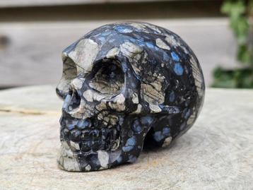 Stoere que sera schedel 330 gram beschikbaar voor biedingen