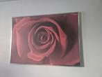 Roze schilderij, Ophalen