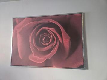 Roze schilderij  beschikbaar voor biedingen