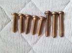 8 x messing Bol belegschroef, Ophalen of Verzenden, Nieuw, Minder dan 50 mm, Schroeven