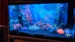 Als nieuw aquarium compleet. 80'40*30 Alles er bij., Dieren en Toebehoren, Vissen | Aquaria en Toebehoren, Ophalen, Zo goed als nieuw