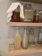 Kefir; Waterkefir, melkkefir en kombucha, Diversen, Levensmiddelen, Ophalen of Verzenden