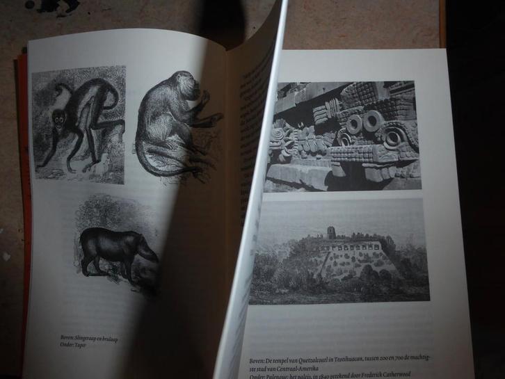 Oude & nieuwe Maya's, een reisverslag - Dik van der Meulen, Boeken, Reisverhalen, Gelezen, Midden-Amerika, Ophalen of Verzenden