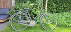 Gazelle primeur maat 54, 53 tot 56 cm, Ophalen, Gebruikt, Gazelle
