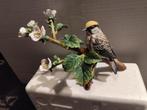 Porseleine Vogels, Ophalen of Verzenden, Nieuw