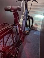 Pegasus Elektrische Fiets met Accessoires, Nieuw, 47 tot 51 cm, 50 km per accu of meer, Ophalen