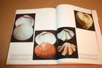 Boek: Muscheln [Schelpdieren] Rijk geïllustreerd, Ophalen of Verzenden, Fossiel