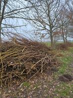Verse wilgentakken (zelf ophalen in Wilsum bij Zwolle), 6 m³ of meer, Ophalen of Verzenden, Overige houtsoorten, Takken