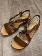 Rieker V3663-24 sandaal sandalen damesschoenen 40 antistress, Bruin, Zo goed als nieuw, Rieker, Sandalen of Muiltjes