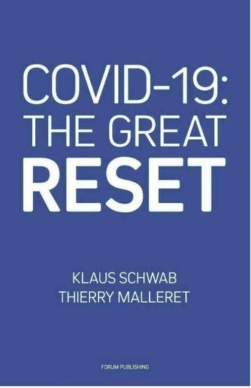 Covid-19: The great reset PDF, Klaus Schwab & Thierry Maller, Boeken, Politiek en Maatschappij, Nieuw, Maatschappij en Samenleving