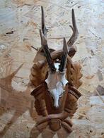 Reebok trofee prachtig op handgestoken houten trofeeplank, Ophalen of Verzenden, Zo goed als nieuw, Hert, Gewei of Kop