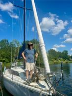 Zeiljacht Comet 850, vaarklaar, Watersport en Boten, Kajuitzeilboten en Zeiljachten, Ophalen, Gebruikt, Diesel, Tourjacht of Cruiser