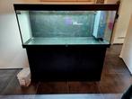 Aquarium juwel rio 450 + kast, Dieren en Toebehoren, Vissen | Aquaria en Toebehoren, Ophalen, Gebruikt, Leeg aquarium