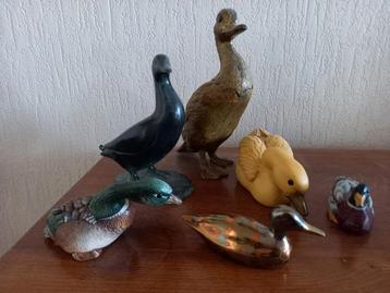 Diverse eendjes  beschikbaar voor biedingen